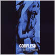 [ godflesh - us and them ]