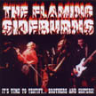 [ the flaming sideburns - it's time to testify...brothers and sisters ]