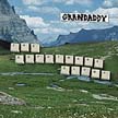 [ grandaddy - sophtware slump ]