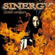 [ sinergy - to hell and back ]