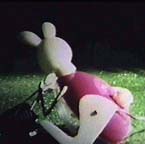 [ beware the rabbit with the lawn mower - mow video ]