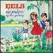 [ eels - daisies of the galaxy ]