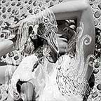 [ bjork - vespertine ]